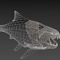Aquatic Animal Shark 3D Model With Mechanical Detailed Open Mouth Structure