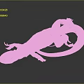 Detailed Brown Lizard Specimen On Black Background With Reflection