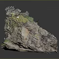 Natural Garden Landscape With Rockery Stone Structure And Green Vegetation Details