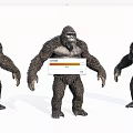 Realistic Reptile 3D Model Shown In Three Different Standing Poses With Detailed Skin Texture