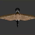 Wild Goose With Orange Brown Wings Spreading Feathers On Smooth Reflective Surface 3d model
