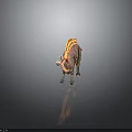 Dinosaur Model With Colorful Head Open Mouth Orange Striped Sail And Brown Body