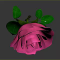 Beautiful Pink Rose Plant With Green Leaves And Stem On Gray Background
