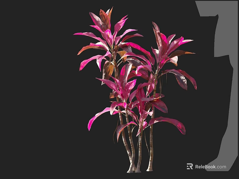 Elegant Pink And Red Leaf Plants With Tall Slender Stems And Vibrant Foliage 3d model 