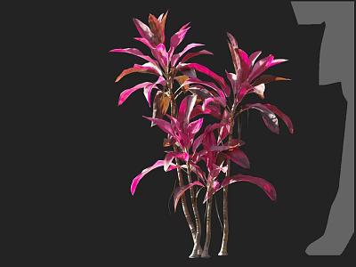 Elegant Pink And Red Leaf Plants With Tall Slender Stems And Vibrant Foliage 3d model
