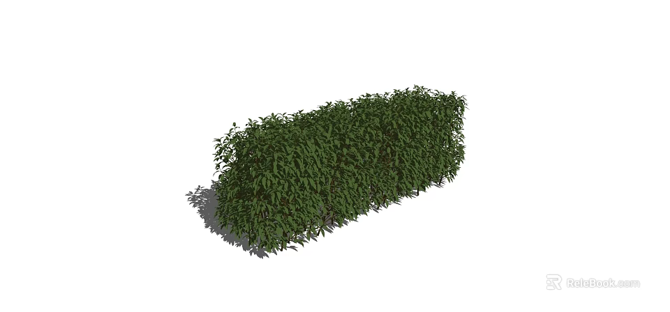 Neatly Trimmed Green Evergreen Hedge For Outdoor Garden Landscape 3d model 