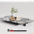 Modern Marble Coffee Table With Olive Plant Book And Metal Base
