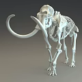 Modern Skeleton 3d model