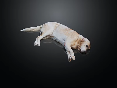 Modern Dog Golden retriever Pet Dog 3d model