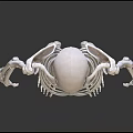 Skeleton Limbs Structure Front And Back View With Arms Legs Hands Feet 3d model