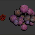 Fresh Purple and Dark Purple Mushrooms in Wooden Basket with Red Berries