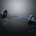 Shiny Metal Barbell Sports Equipment With Heavy Weight Plates For Fitness Training
