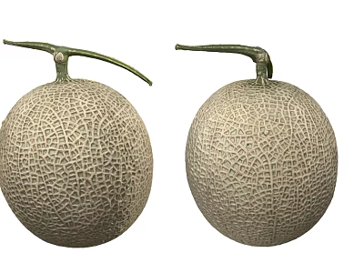 Two Fresh Ripe Cantaloupe Fruits With Net Like Texture And Green Stems 3d model