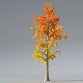 Modern Tree Ginkgo Tree Ginkgo Tree 3d model