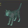 Gray Tabby Cat Standing On Dark Background With Striped Coat And Alert Posture