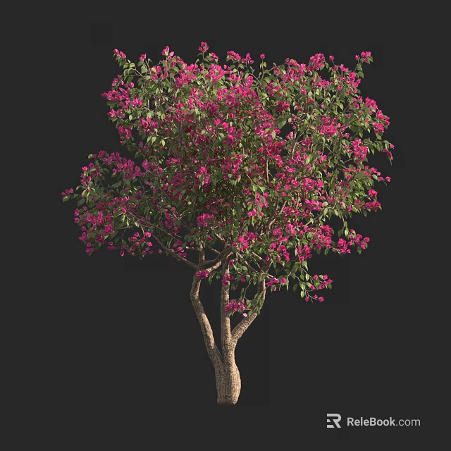 Tall Tree With Pink Flowers And Green Leaves On Black Background 3d model 