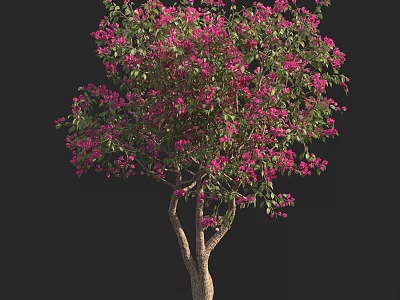 Tall Tree With Pink Flowers And Green Leaves On Black Background 3d model