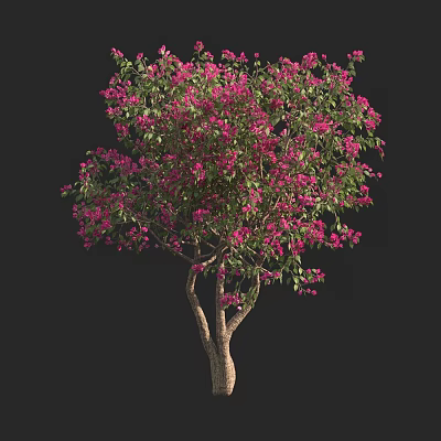 Tall Tree With Pink Flowers And Green Leaves On Black Background 3d model