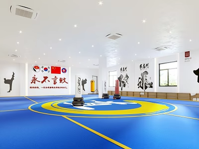 Taekwondo Training Hall Interior With Blue Mats And Motivational Slogans 3d model