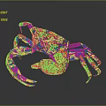 Brown And Yellow Crab With Large Claws And Detailed Body On Smooth Reflective Surface