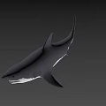 Gray Shark With Open Mouth And Sharp Teeth In Blue Background 3d model