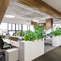 Bright Modern Open Public Office Space With Green Plants Workstations And Large Windows 3d model