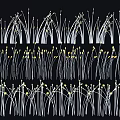 Grass Inspired Decorative Lights with Curved Stems and Warm Glow for Garden Decoration