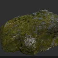 Moss Covered Natural Stone With Textured Surface And Organic Natural Look