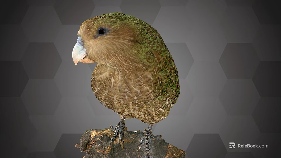 Green Parrot With Green And Brown Feathers Standing On Tree Branch 3d model 