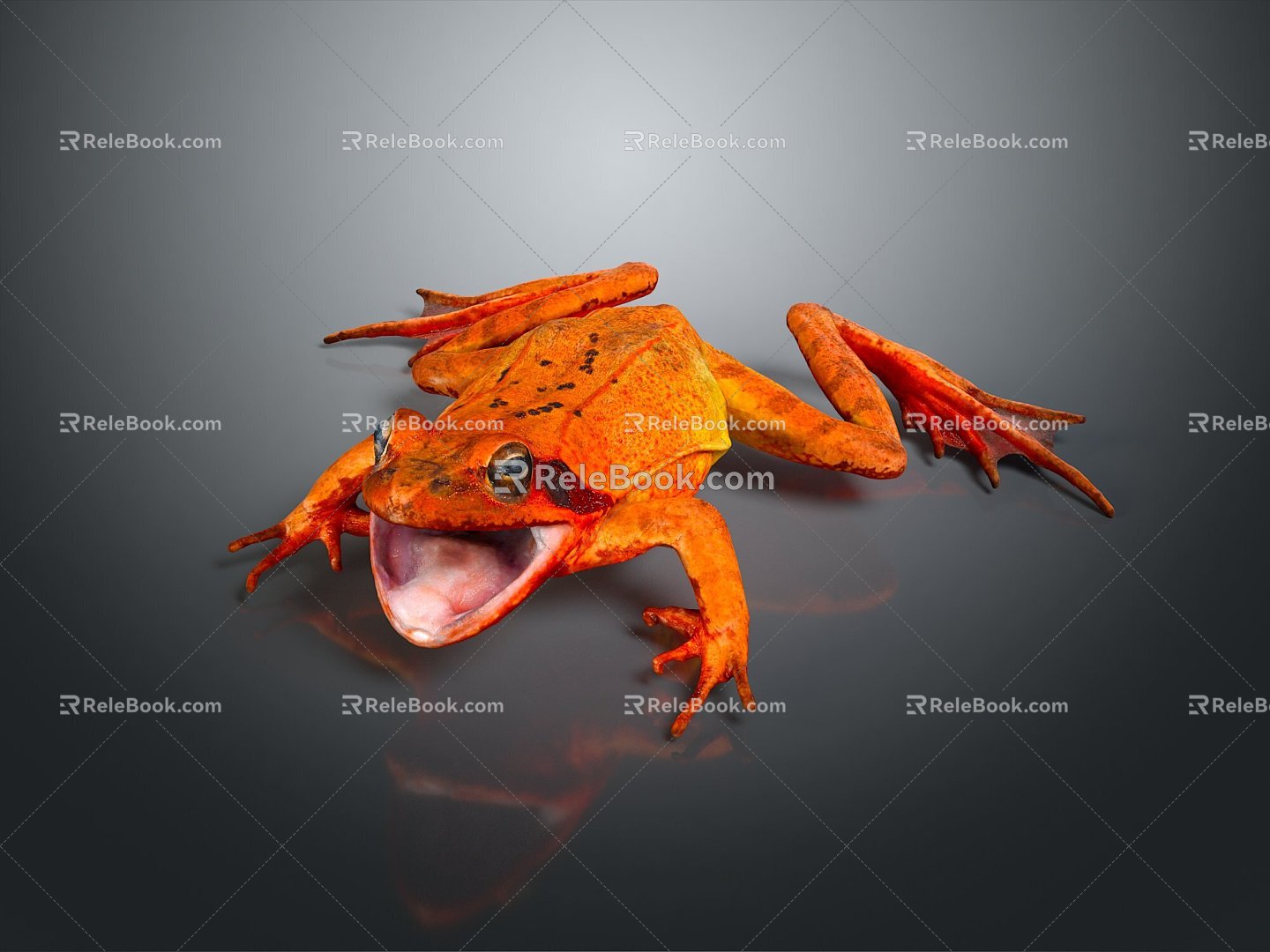 Frog Frog Frog Poison Frog Game Frog Reptile Cold Blooded Animal Reptile Reptile 3d model