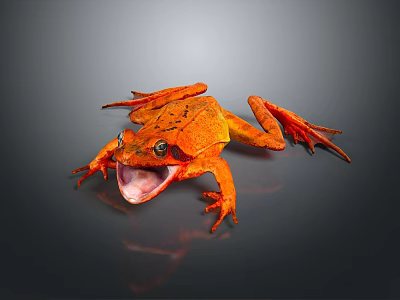 Striking Orange Reptile Displaying Open Mouth on Smooth Gray Background Surface 3d model