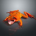 Frog Frog Frog Poison Frog Game Frog Reptile Cold Blooded Animal Reptile Reptile 3d model