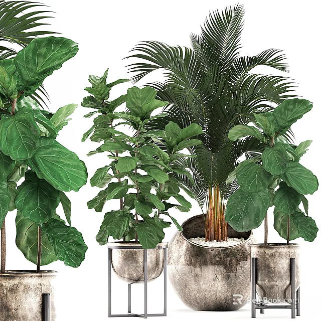 Indoor Decorative Plant Arrangement With Various Green Foliage And Potted Plants 3d model 