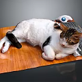 Relaxed Cat Lying On Wooden Mat With Computer Keyboard And Mouse 3d model