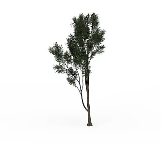 Park Green Leaf Trees 3d model