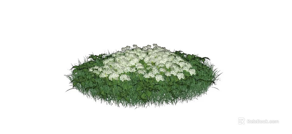 Lush Circular Flower Cluster With White Blossoms And Green Foliage In Garden 3d model 