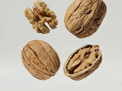Decorative Walnut Ornament Set with Whole and Cracked Nuts for Home Decor 3d model