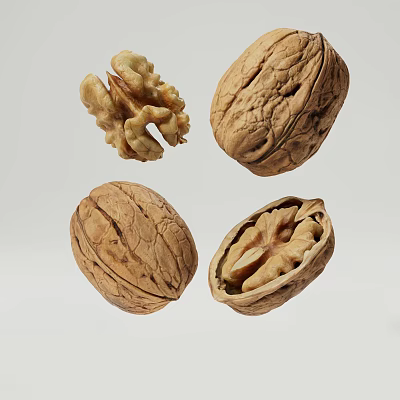 Walnut nut food 3d model