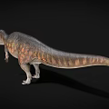 Realistic Dinosaur 3D Model With Colorful Skin And Sharp Teeth On Black Background