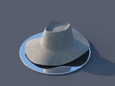 Woven Wide Brim Hat Placed On A Silver Round Plate Surface 3d model