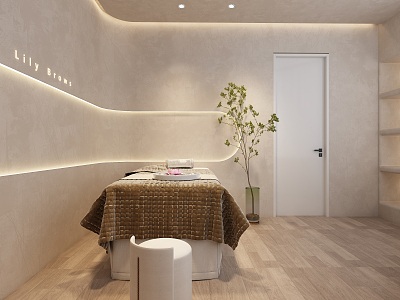 Silent SPA beauty room model