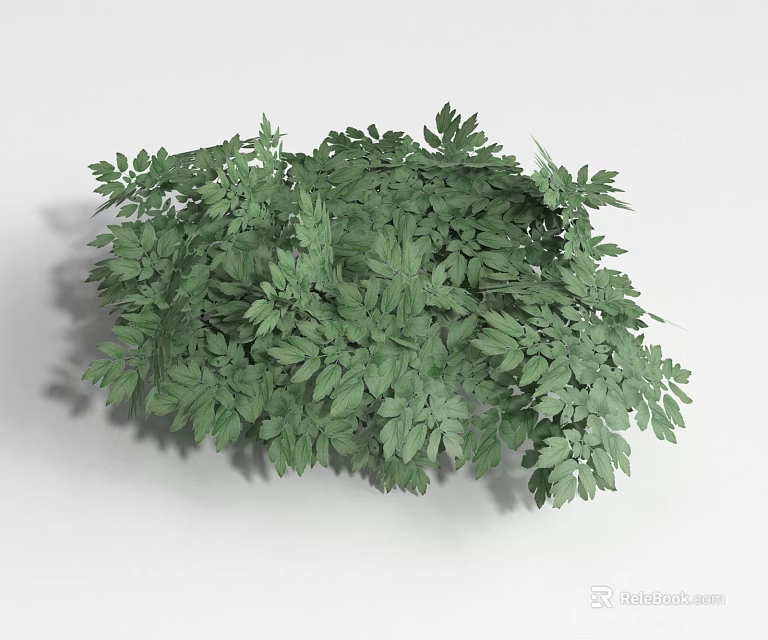 Lush Green Shrub With Dense Foliage And Vibrant Leaf Structure 3d model 
