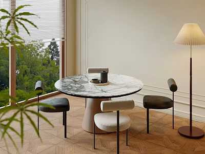 Minimalist Round Marble Table And Chairs Set With Floor Lamp Wooden Floor Green Plants View 3d model