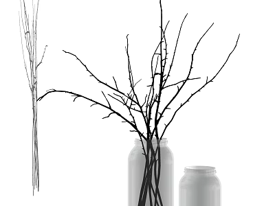 Modern Stylish Transparent Vase With Dry Branches And White Jar Decor 3d model