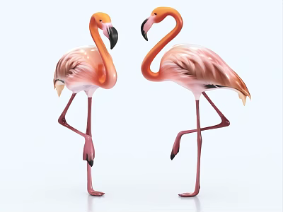 Flamingo Cartoon Flamingo Turkey 3d model