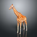 Realistic Giraffe Model With Brown Spots Long Neck And Reflective Base 3d model