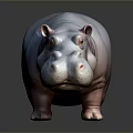 Detailed Light Colored Hippopotamus In Standing Pose On Dark Shiny Surface