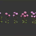 Neatly Arranged Pink And Purple Flowers With Green Stems Leaves On Gray Background With Reflections