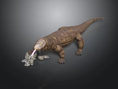 Komodo Dragon With Brown Skin Sticking Out Tongue And Stones On Dark Background 3d model