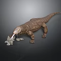 Komodo Dragon With Brown Skin Sticking Out Tongue And Stones On Dark Background